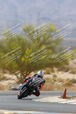 media/Apr-10-2022-SoCal Trackdays (Sun) [[f104b12566]]/Turn 5 Tree of Life (1040am)/